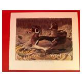 Signed & Numbered 'Feeding on White Oak' Print