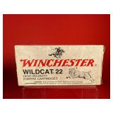 500 Rounds of Winchester Wildcat .22 LR Ammo