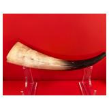 Large Blackpowder Powder Horn (No Cap)