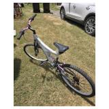 Dinocraft, twenty one speed bicycle needs a