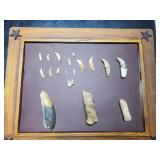 Collection - Animal teeth and antlers