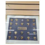 Goodwill Games collector pins