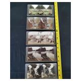 Antique Stereoview Cards