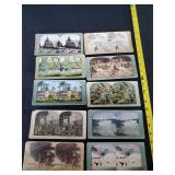 Stereoview Cards