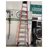 10 Foot Werner Ladder