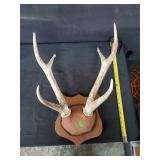 Antler Mount