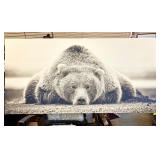 Huge!  bear photo on canvas
