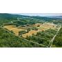 197.5 ACRES DIVIDED INTO 16 TRACTS