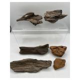 Petrified wood