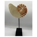 Nautilas shell on stand hand painted