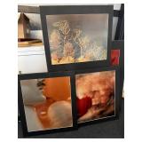 27' Framed photography art