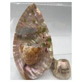 1904 St. Louis world fair seashell souvenirs
