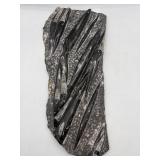 18' Polished slab of Orthoceras fossils