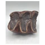 Molar tooth fossil