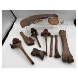 Prehistoric fossilized bones and teeth
