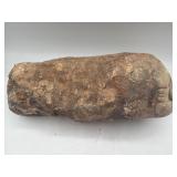 8' Gomphothere fossilized prehistoric tooth jaw