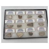 Fossil dinosaur egg shell fragments