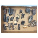 Teeth fossils