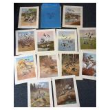Set of 12 game birds of America prints