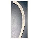 33' prehistoric mammal rib bone