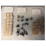 Fossil shark teeth and more