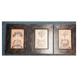 3 framed Sunset Palm prints Liz Jardine