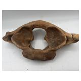 Prehistoric vertebrae fossil