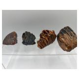Woolly mammoth molar teeth