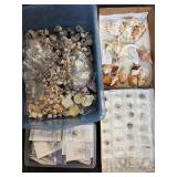 Seashells