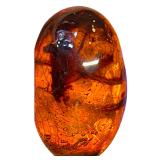 Polished Amber Color Cabochon Display Specimen
