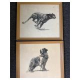 D Schwartz st. Bernard and cheetah prints