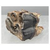 Prehistoric fossilized mammoth or rhinoceros tooth