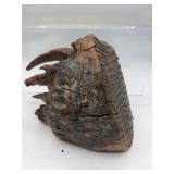 Fossilized mammoth teeth