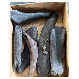 Fossilized bones and more