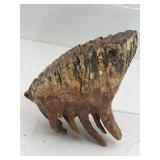 Fossilized mammoth molar