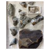 Fossils