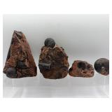 Fossilized ammonite groupings