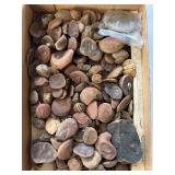 Mazon Creek fossils