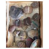 Mazon Creek Fossils