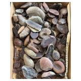Mazon Creek fossils