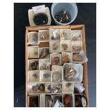 Rocks fossils and minerals