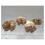 Fossilized mastodon molars