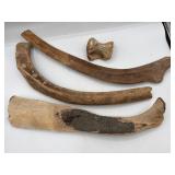 Animal bones