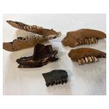 Fossilized mammal teeth