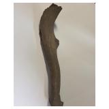 Large antler