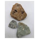 Fossilized teeth in rocks