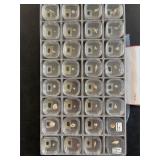 32 piece fossil shell collection