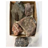 fossils