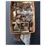 Rocks and petrified wood