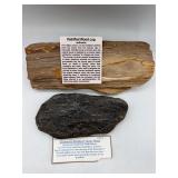 Petrified wood